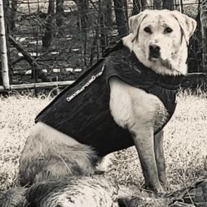 Meet your Posher, Matthew